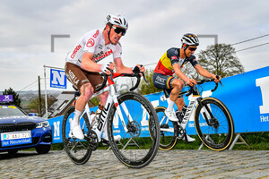 NAESEN Lawrence: Ronde Van Vlaanderen 2021 - Men
