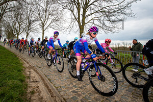 MANLY Alexandra: Ronde Van Vlaanderen 2022 - WomenÂ´s Race