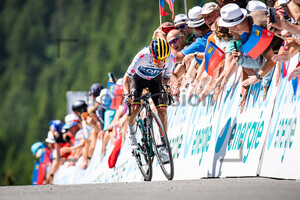 HIGUITA GARCIA Sergio Andres: Tour de Suisse - Men 2022 - 7. Stage