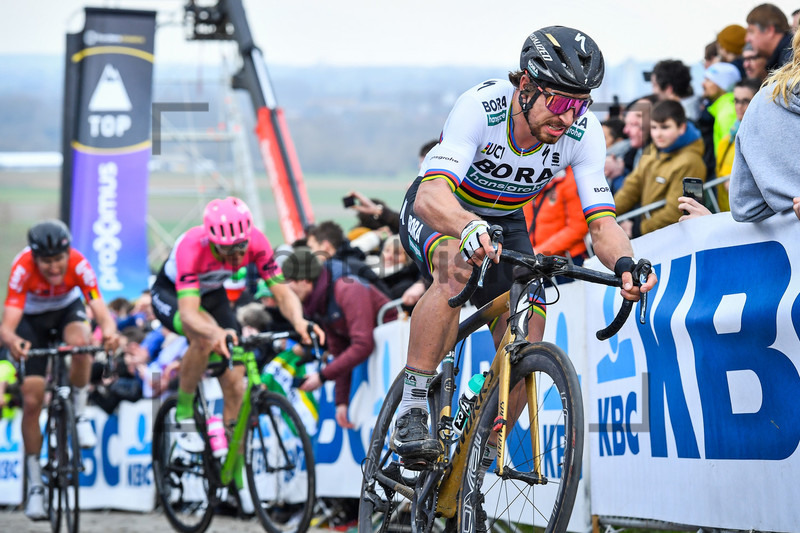 SAGAN Peter: Ronde Van Vlaanderen 2018 