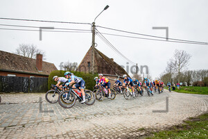 LONGO BORGHINI Elisa: Dwars Door Vlaanderen 2023 - WomenÂ´s Race