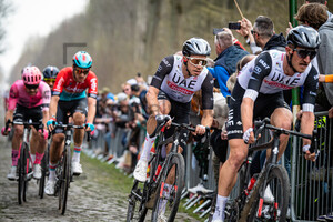 OLIVEIRA Rui: Paris - Roubaix - MenÂ´s Race