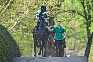 SEIDL Martin: 150 Years Horseracecourse Hoppegarten