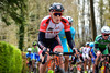 Team Austria: Ronde Van Vlaanderen - Beloften 2016