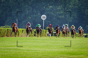 11. Race: Horse Race Course Hoppegarten