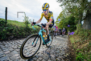 ROOSEN Timo: Ronde Van Vlaanderen 2020