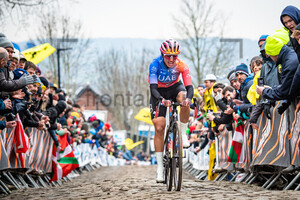PERSICO Silvia: Ronde Van Vlaanderen 2023 - WomenÂ´s Race
