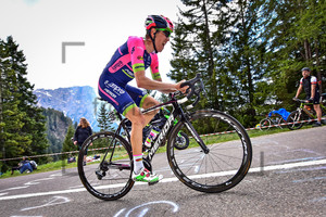 PETILLI Simone: 99. Giro d`Italia 2016 - 15. Stage