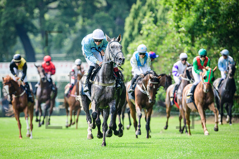 7. Race: Horse Race Course Hoppegarten 