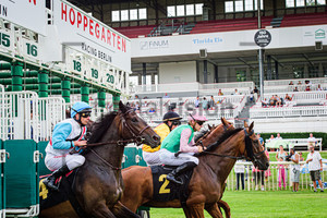 8. Race: Horse Race Course Hoppegarten