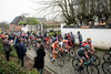 LUDWIG Cecilie Uttrup: Ronde Van Vlaanderen 2019
