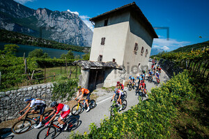 BADILATTI Matteo: UEC Road Cycling European Championships - Trento 2021