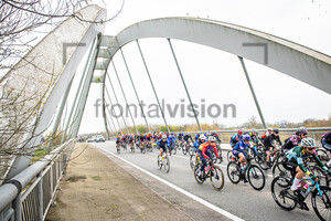 MAGRI Silvia: Ronde Van Vlaanderen 2023 - WomenÂ´s Race