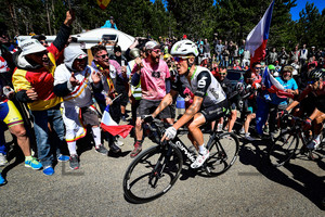 PAUWELS Serge: 103. Tour de France 2016 - 12. Stage