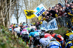 Peloton: Ronde Van Vlaanderen 2018