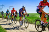 MERLIER Tim: Paris - Roubaix - MenÂ´s Race 2022