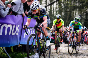 CHAPMAN Brodie: Ronde Van Vlaanderen 2019
