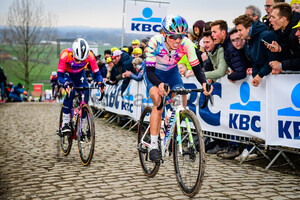NIEWIADOMA Katarzyna: Ronde Van Vlaanderen 2023 - WomenÂ´s Race