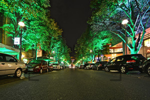 Alte Potsdamer Straße: 11. Festival Of Lights 2015