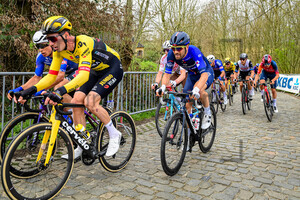 LE GAC Olivier: Dwars Door Vlaanderen 2023 - MenÂ´s Race