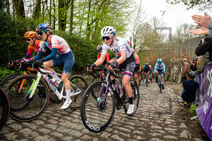 NEUMANOVÃ Tereza: Ronde Van Vlaanderen 2023 - WomenÂ´s Race
