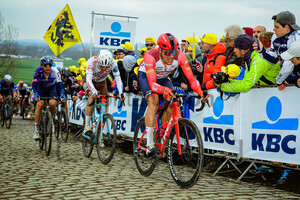STUYVEN Jasper: Ronde Van Vlaanderen 2023 - MenÂ´s Race