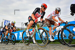 DEGENKOLB John: Ronde Van Vlaanderen 2021 - Men