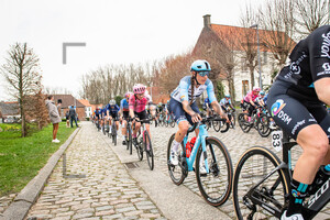BRAND Lucinda: Dwars Door Vlaanderen 2023 - WomenÂ´s Race