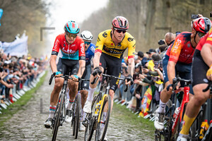 VAN HOOYDONCK Nathan: Paris - Roubaix - MenÂ´s Race