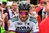 SAGAN Peter: Tour de Suisse 2018 - Stage 3