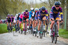 NIEWIADOMA Katarzyna: Ronde Van Vlaanderen 2021 - Women