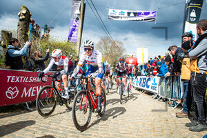 TERPSTRA Niki: Ronde Van Vlaanderen 2022 - MenÂ´s Race