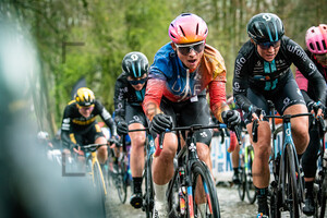 : Gent-Wevelgem - Womens Race