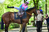MÜLLER Vivien: 150 Years Horseracecourse Hoppegarten