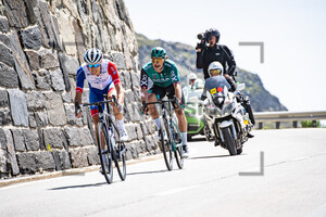 HALLER Marco: Tour de Suisse - Men 2022 - 6. Stage