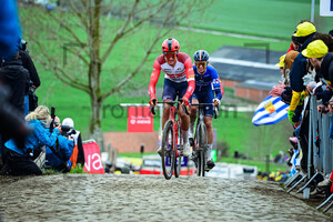 VACEK Mathias: Ronde Van Vlaanderen 2023 - MenÂ´s Race