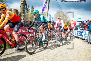 POLITT Nils: Ronde Van Vlaanderen 2022 - MenÂ´s Race