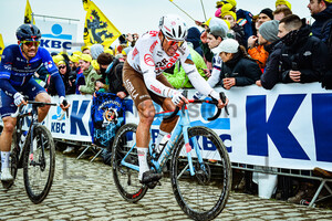 VAN AVERMAET Greg: Ronde Van Vlaanderen 2023 - MenÂ´s Race