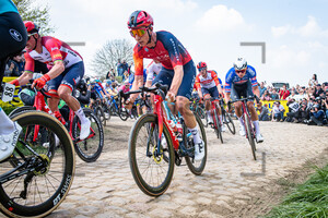 HEIDUK Kim Alexander: Paris - Roubaix - MenÂ´s Race