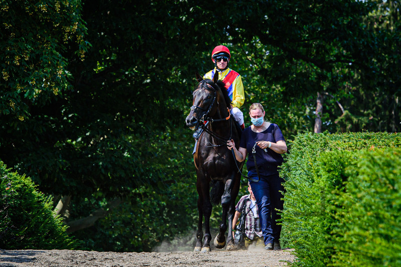 STARKE Andrasch: Horse Race Course Hoppegarten 