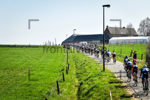 Peloton: 41. Driedaagse De Panne - 1. Stage 2017