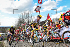 VAN ASBROECK Tom: 100. Ronde Van Vlaanderen 2016
