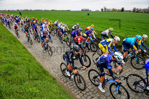 WELSFORD Sam: Dwars Door Vlaanderen 2023 - MenÂ´s Race