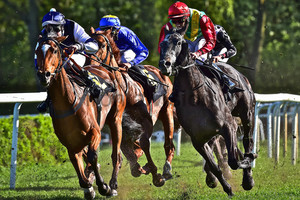 8. Race: 150 Years Horseracecourse Hoppegarten