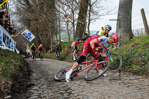 MARTIN Tony: Ronde Van Vlaanderen 2018