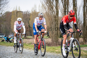 TERPSTRA Niki: Dwars Door Vlaanderen 2022 - Men´s Race