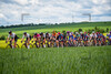 Peloton: LOTTO Thüringen Ladies Tour 2022 - 3. Stage