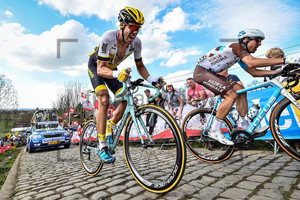 WYNANTS Maarten: 100. Ronde Van Vlaanderen 2016