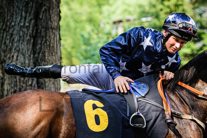ABIK Michal: Horse Race Course Hoppegarten 