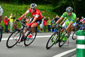 Martin Elmiger, Peter Sagan: Tour de France – 9. Stage 2014